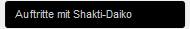 Auftritte mit Shakti-Daiko